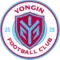 龙仁FC